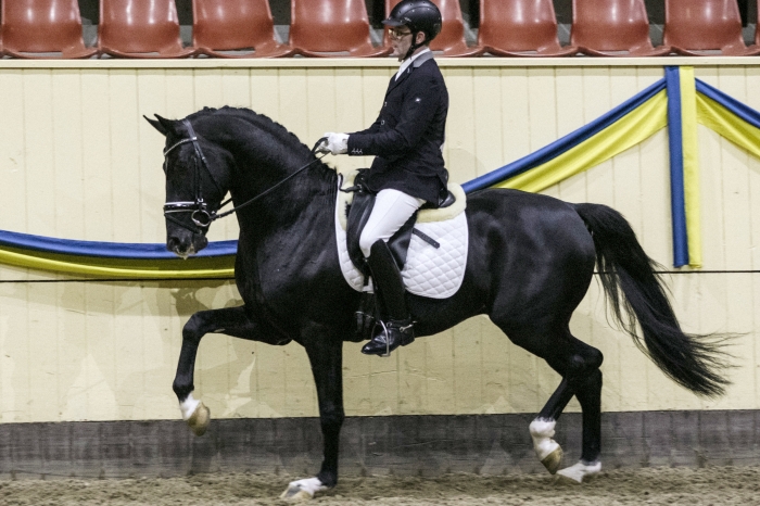 Total Hopes uttagning till unghäst-VM väcker frågor