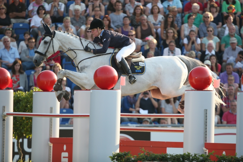 Svensk landslagshäst är död