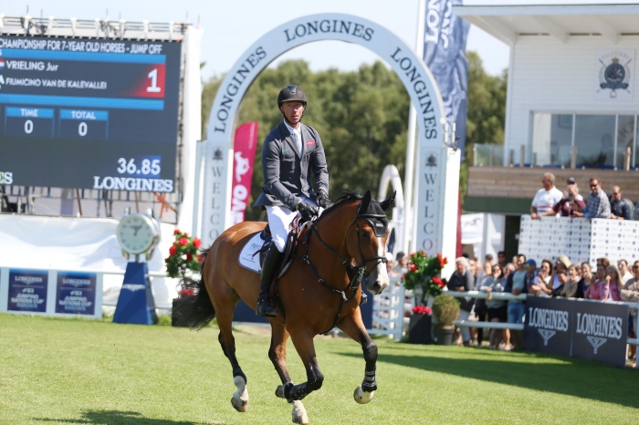 Bildbomb: Se alla hästar i hoppningens 7-årsfinal