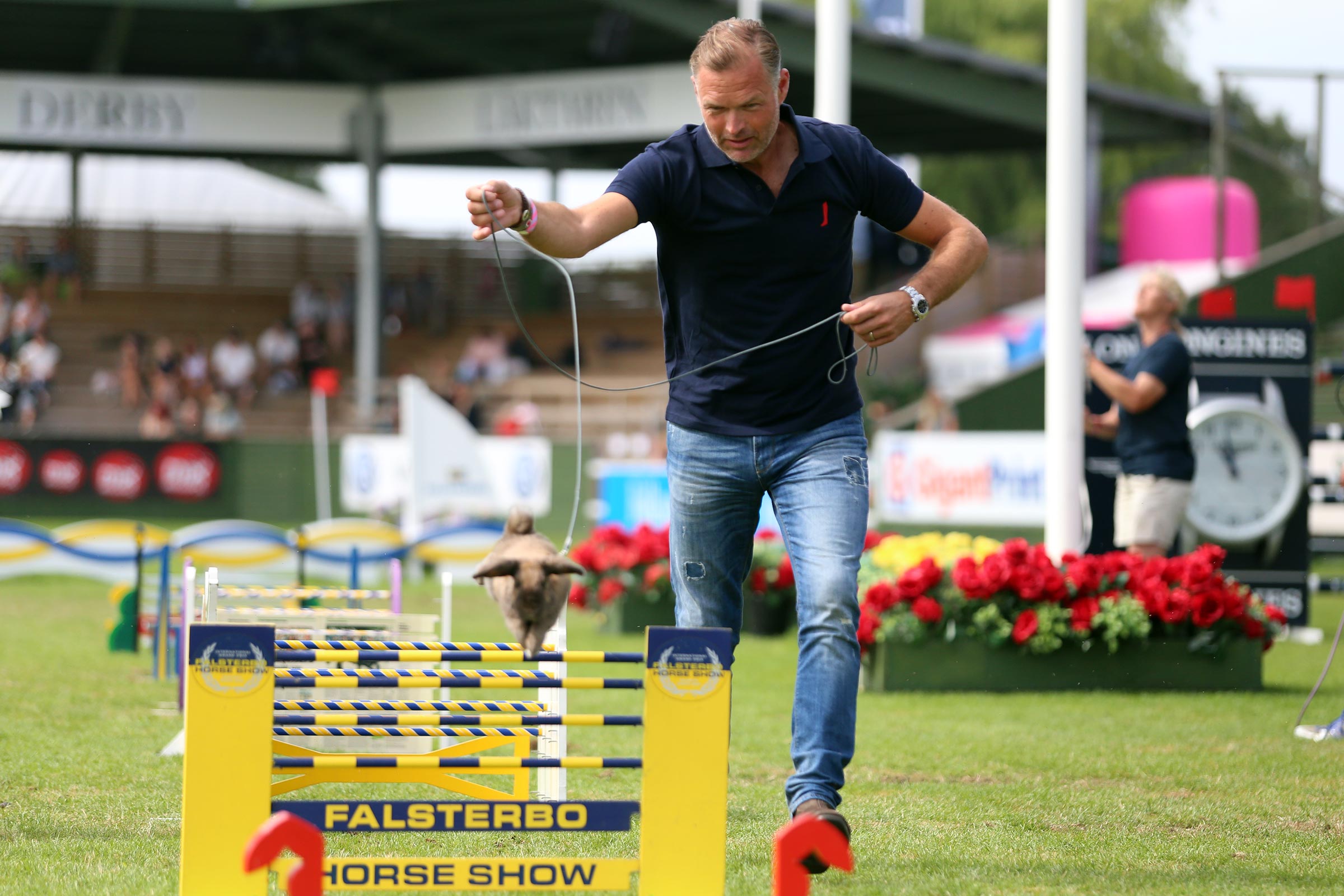 180715_falsterbo_jennyschwielerstaaf_kaninhoppningimg_1108