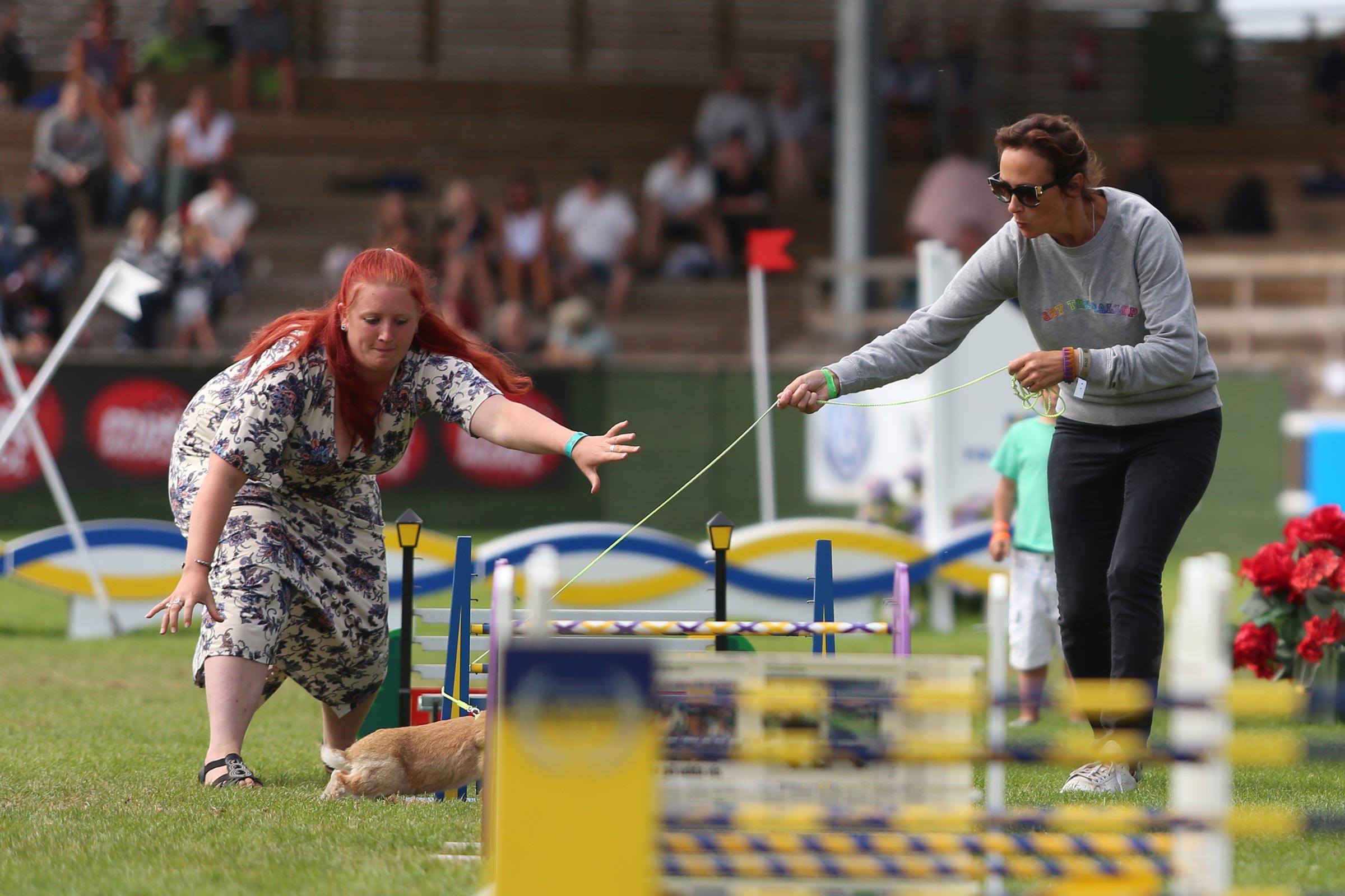 180715_falsterbo_jennyschwielerstaaf_kaninhoppningimg_1128