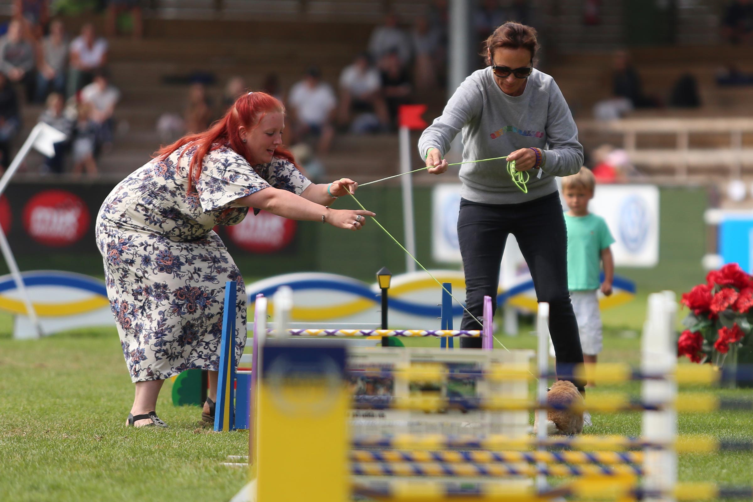 180715_falsterbo_jennyschwielerstaaf_kaninhoppningimg_1129
