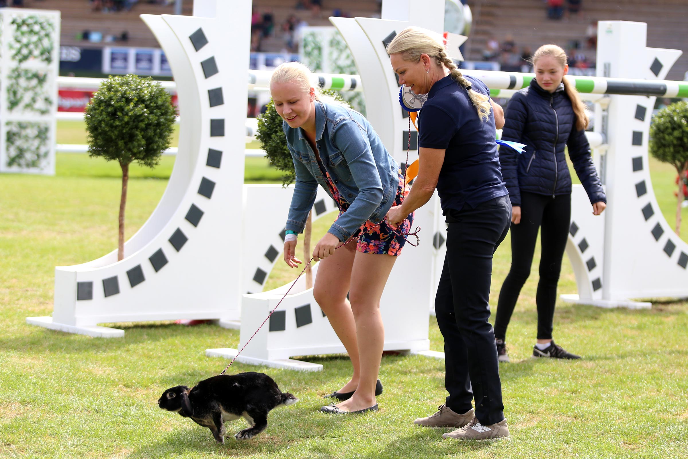 180715_falsterbo_jennyschwielerstaaf_kaninhoppningimg_1171