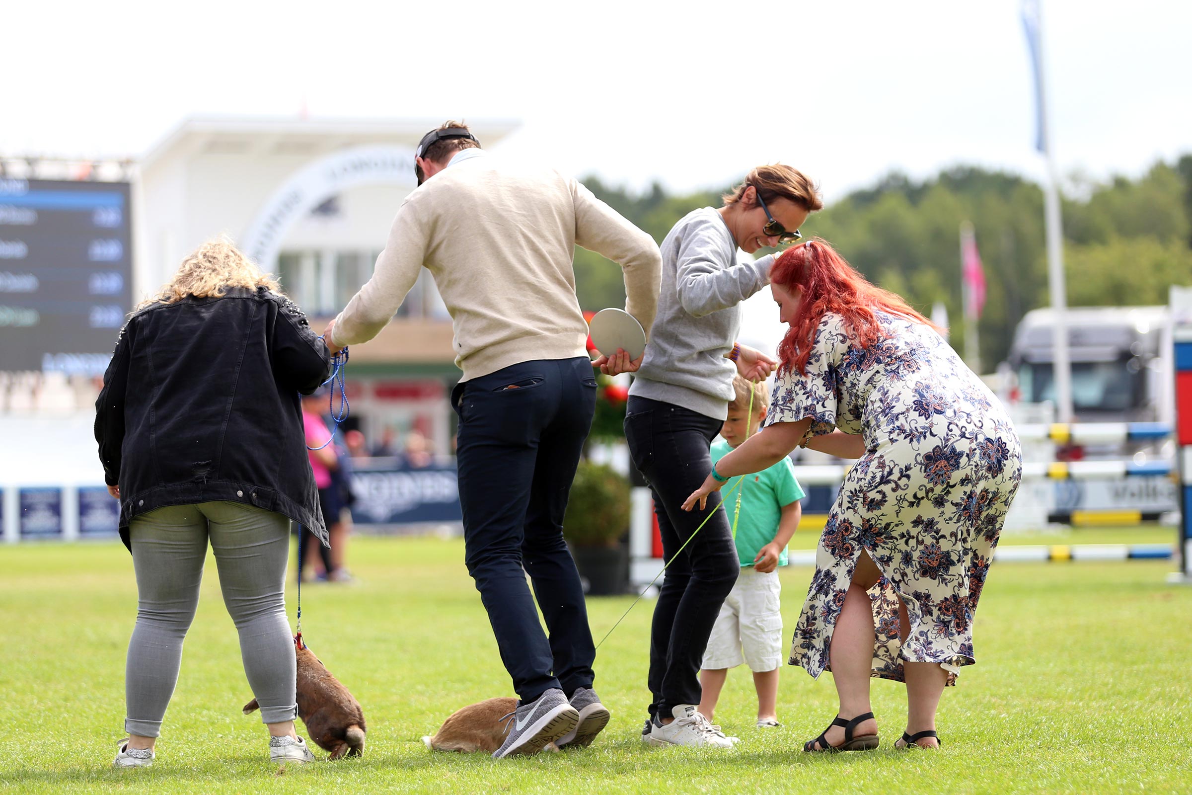 180715_falsterbo_jennyschwielerstaaf_kaninhoppningimg_1173