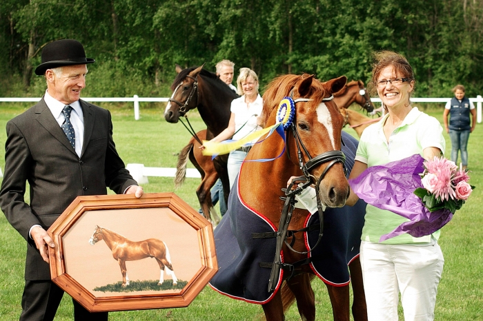 New Forest-riks flyttat