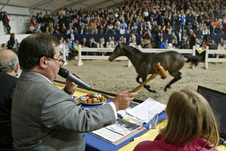 Här är hästarna på DWB:s auktion