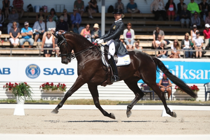 Så här följer du världscupen