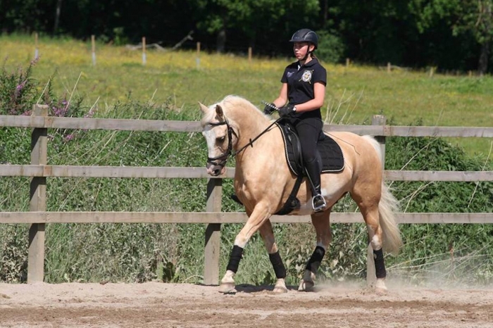 Cajsa och ponnyn Dumle laddar för att möta hästar på dressyrbanan