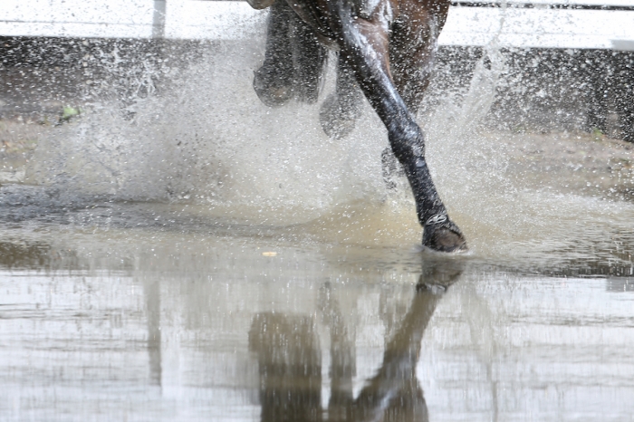 Ellen Skogström enstjärnig vinnare i Öved
