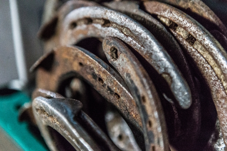 Förlängd ansökningstid till hovslagarutbildningarna