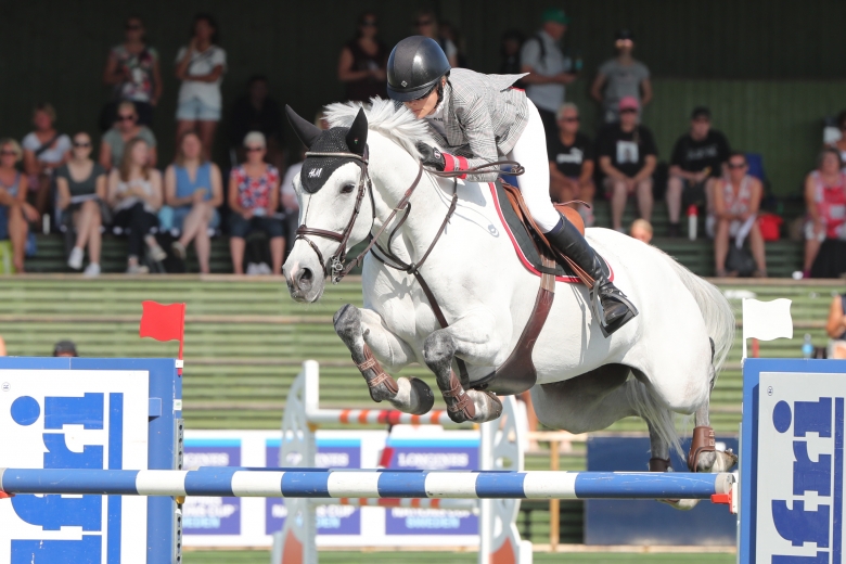 Internationellt placerade SWB-hästar