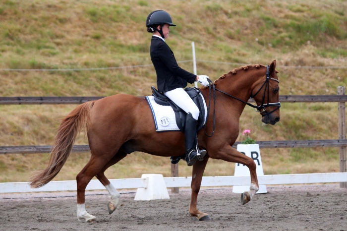 Fem lag klara för final på lag-SM