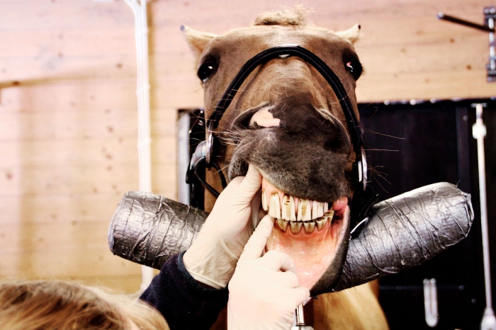 Dom dröjer i mål om tandraspning