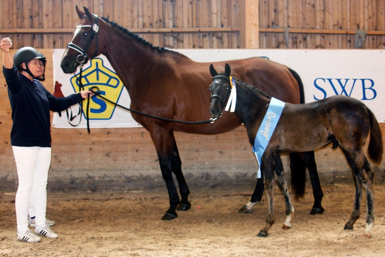 Skärpta vaccinationsregler från SWB