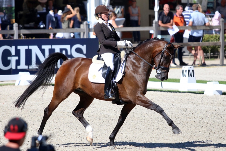 Mönstring inför Unghäst-VM flyttas