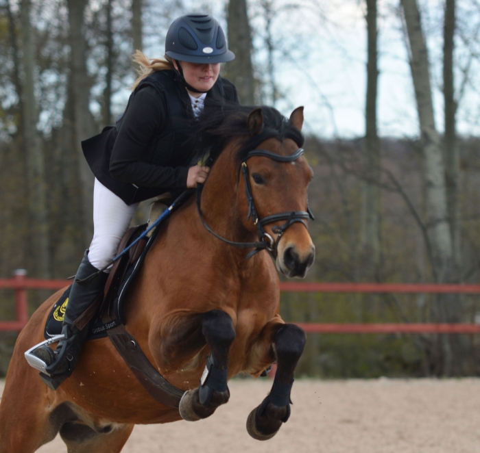 Många vinnare korades på new forest-SM