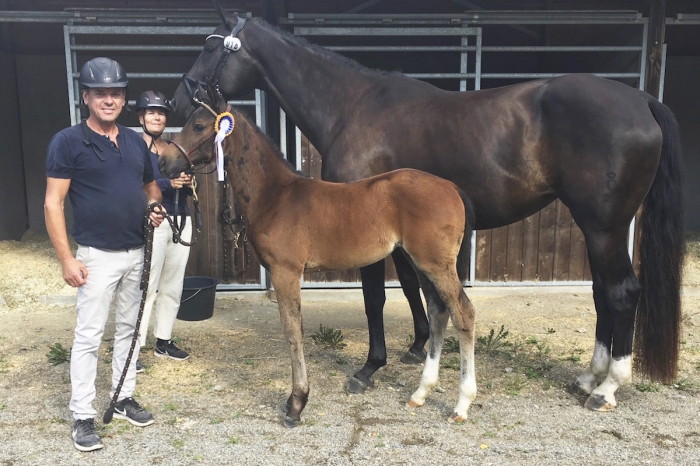 Ma Michelle toppade i Kronoberg