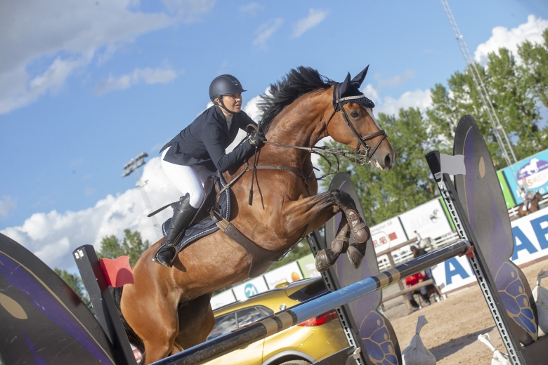 Ridsport