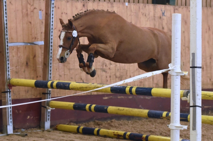 A Lot of Tequila imponerade i Åstorp