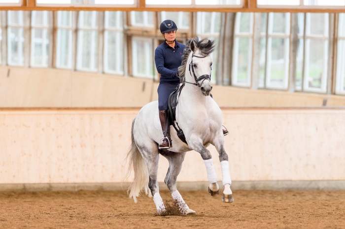 Benetton Dream-sonen Belantis kastrerad