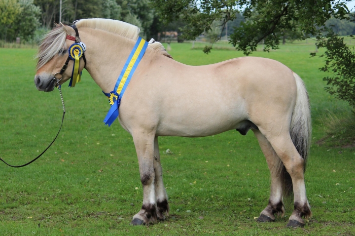 45 poäng och BIS till Kronos