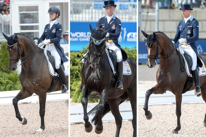 Förbundet bekräftar: Kürfinalen ställs in