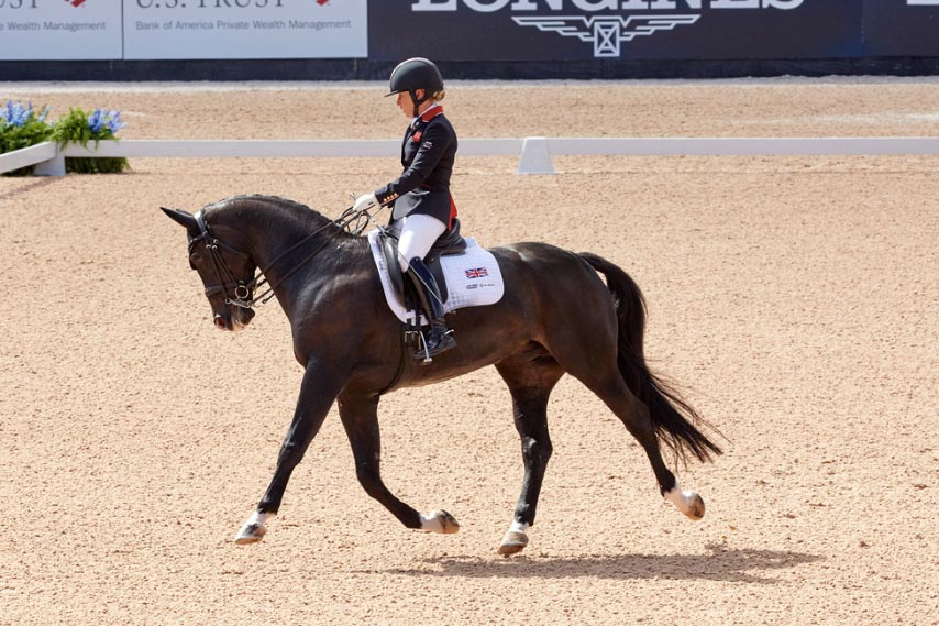 FEI World Equestrian Games™ Tryon USA FEI World Equestrian Games™; GB; Grade 2; Individual Championship; Paradressage; Sophie Wells GBR on C Fatal Attraction Photo FEI/Liz Gregg