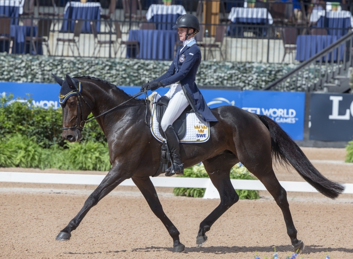 Fälttävlansdressyren klar för i dag: Svenskarna i mål på samma straff