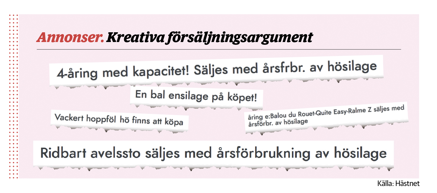 Hästannonser
