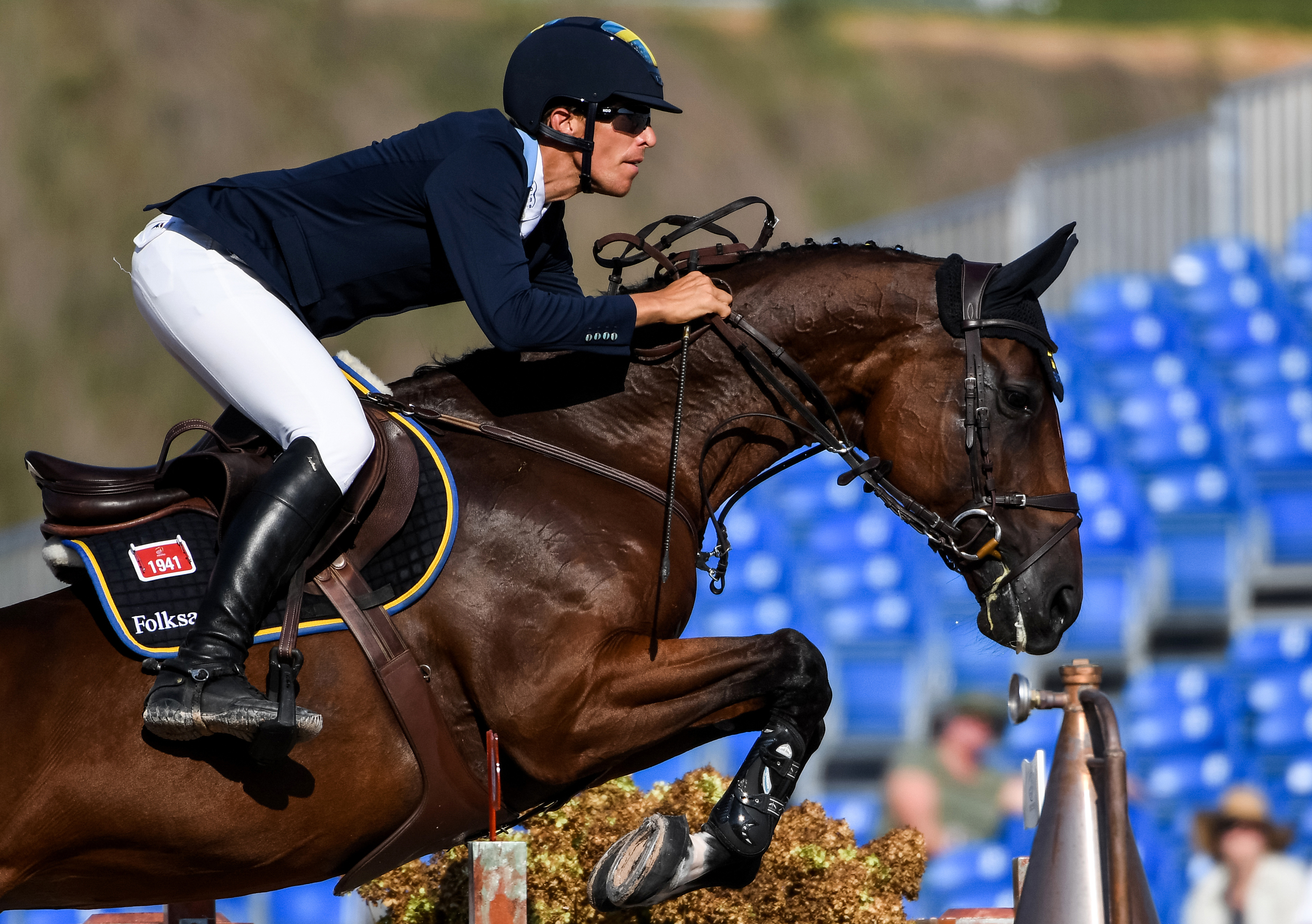 Fei World Equestrian Games&ordf; Tryon Usa