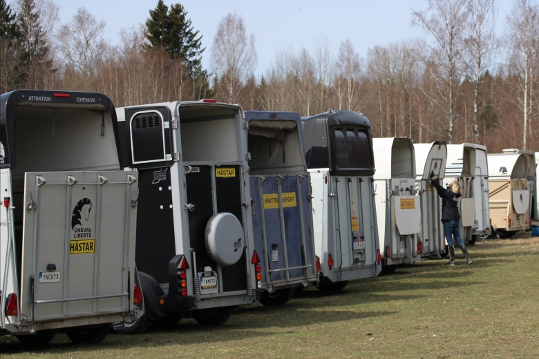 Tyskland inför hästkörkort på tävlingar