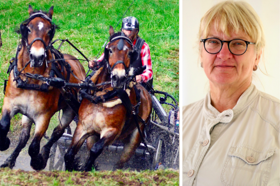 Kommentar: Inte rätt VM-upplägg
