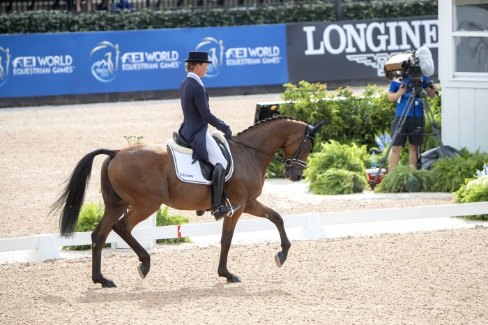 Fälttävlansdressyren klar – fyra jämna  svenskar och en toppad