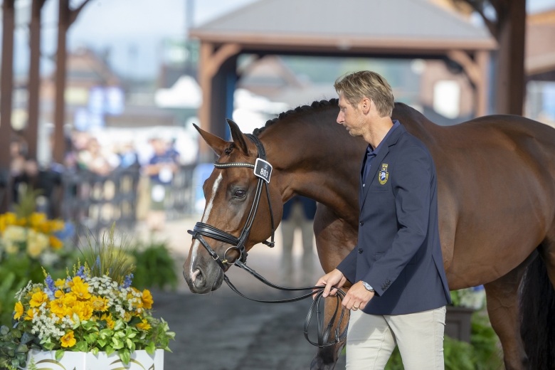Ridsport