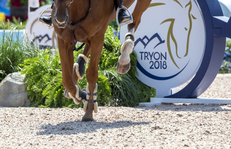 Anläggningarna i Tryon och Wellington i bedrägerihärva