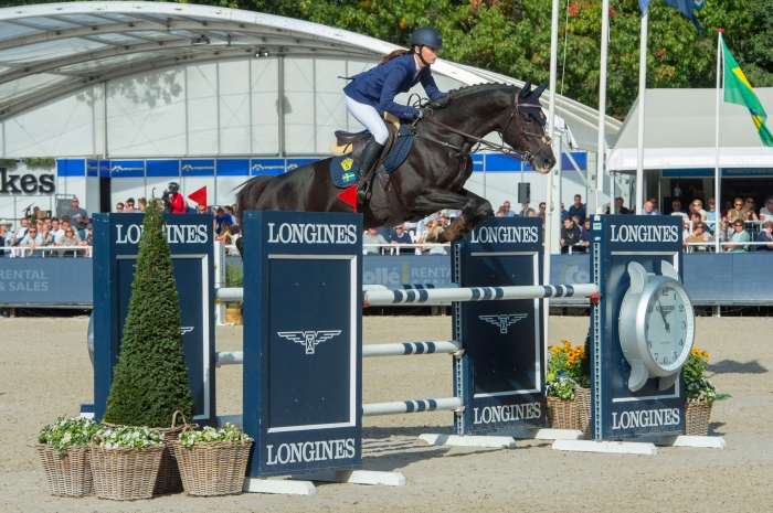 Mr Vain GJ placerad i 5-årsfinalen