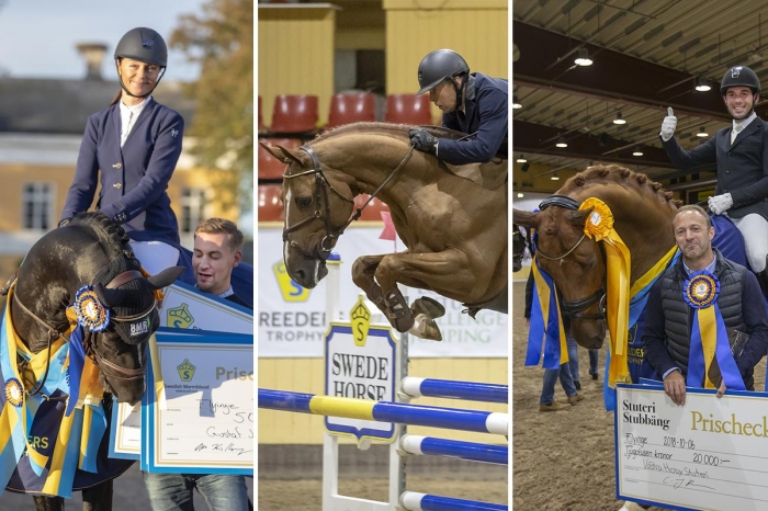 Årets vinnare av SWB Stallion Trophy