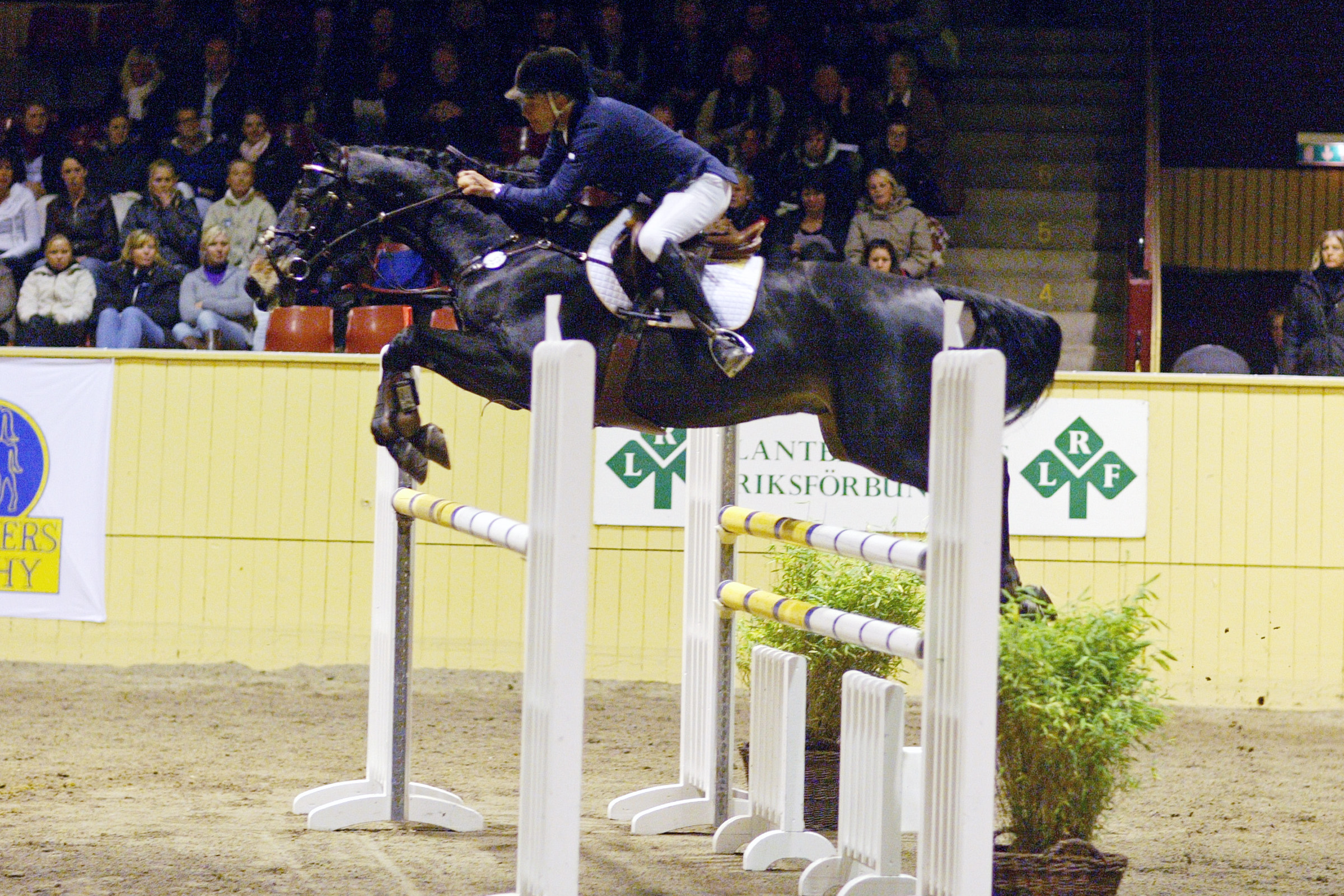 Eriksson Peter-cadence2 071021wb