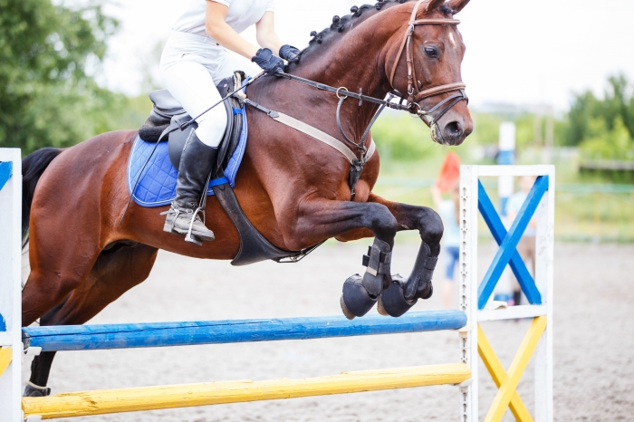Otrevlig ponnyförälder får gult kort