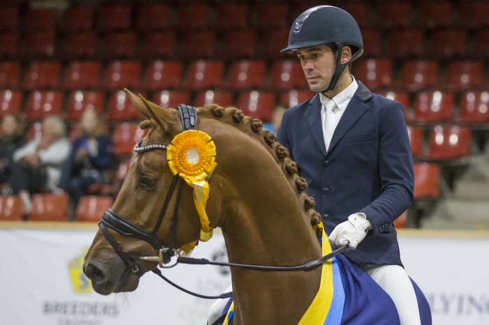 Fjolårsvinnaren bäst när 4-åringarna till Dujardin sållades ut