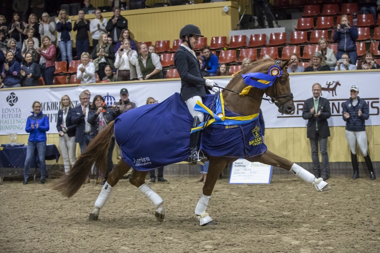 Dags för årets Breeders Trophy – dressyrhästarna först ut