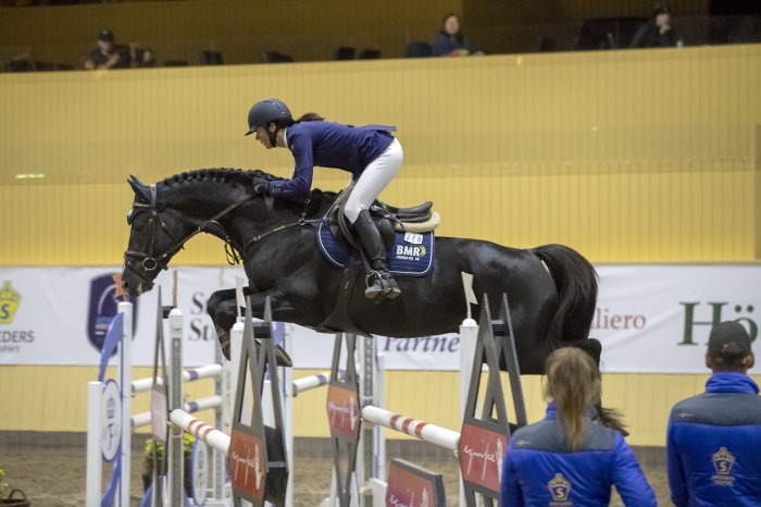 Här är 5-åringarna som möts i Breeders-finalen