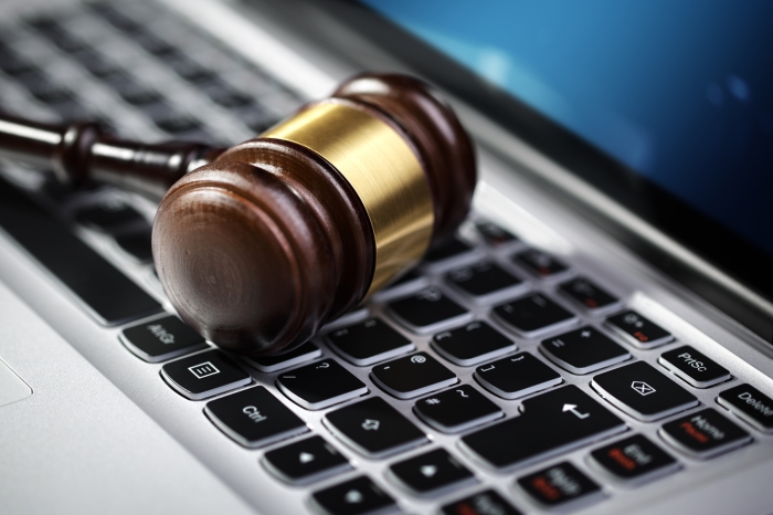 Färre än hälften av fölen sålda på SWB:s onlineauktion