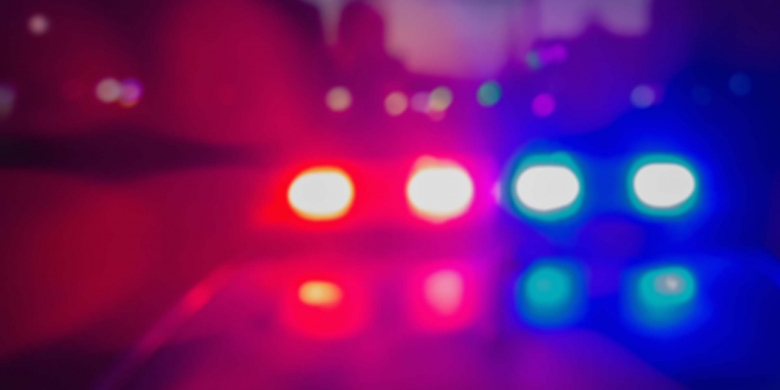 Häst död efter kollision på E22 – flera till sjukhus