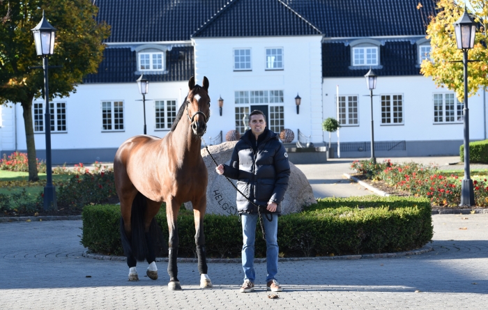 Hemma hos Helgstrand – danska kungen av hästaffärer