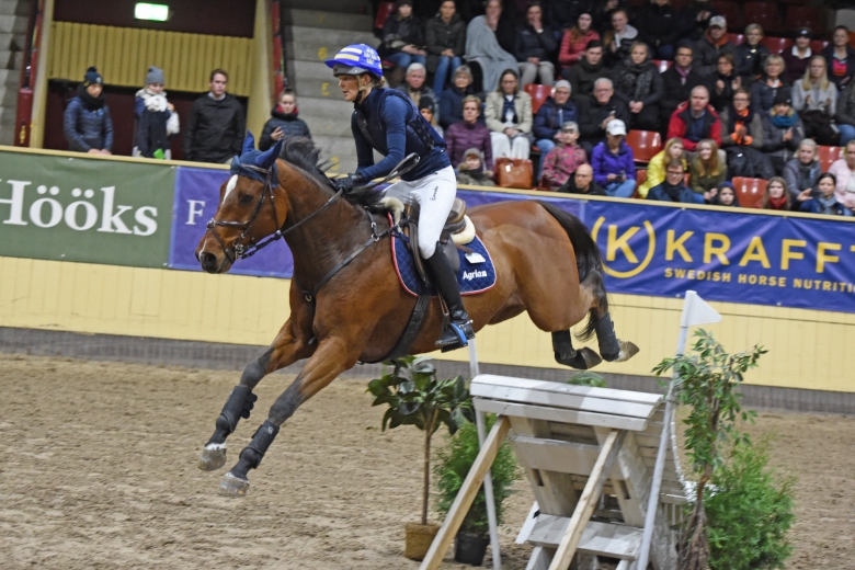 Fly Away V/d N. Ranch