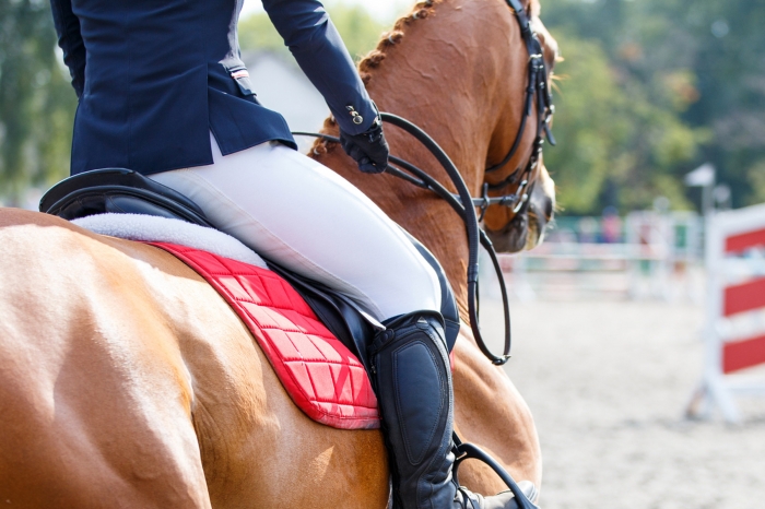 Startade med halt häst trots startförbud – överklagade avstängningarna