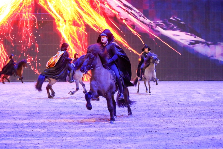 Islandsh&auml;st Kadrilj Friends Fj-1673