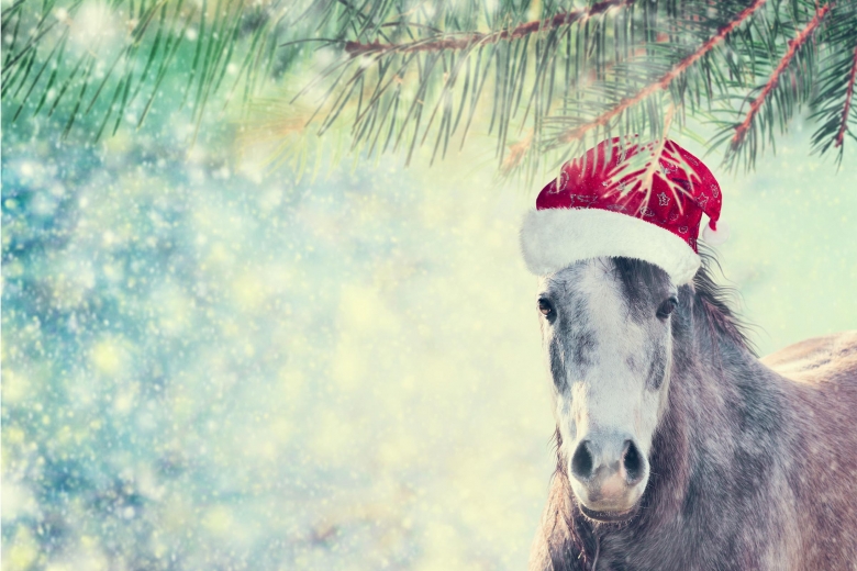 Lucka 5: Här tävlar du i Ridsports julkalender
