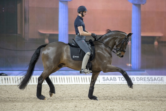 Se dressyrstjärnorna träna